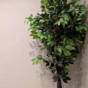 ヒメ日記 2026/02/06 15:39 投稿 坂下ちあき ミセスの癒しエステ