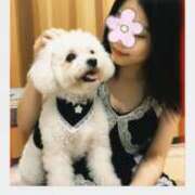 ヒメ日記 2026/04/10 08:30 投稿 坂下ちあき ミセスの癒しエステ