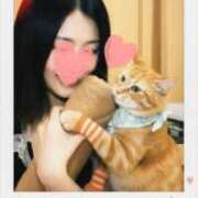 ヒメ日記 2026/04/13 08:30 投稿 坂下ちあき ミセスの癒しエステ