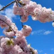 ヒメ日記 2026/04/29 19:30 投稿 坂下ちあき ミセスの癒しエステ