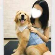 ヒメ日記 2026/09/19 10:00 投稿 坂下ちあき ミセスの癒しエステ