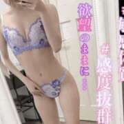 きなこ 🤍優しくシて🤫🤍 奥様はエンジェル　町田店