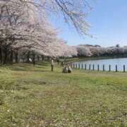 ヒメ日記 2026/04/07 09:53 投稿 けい 完熟ばなな西川口