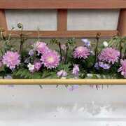 ヒメ日記 2026/04/08 15:33 投稿 けい 完熟ばなな西川口