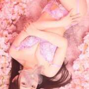 ヒメ日記 2026/04/08 23:31 投稿 あや 秘書室(吉原)