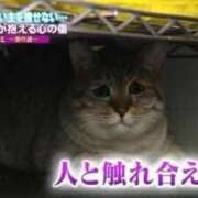 ヒメ日記 2026/04/30 14:37 投稿 もえ Evolution 2nd