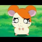 るう るうです！ ハピネス東京