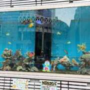 奥村 なつみ 水槽🐟 一夜妻　大阪ミナミ店