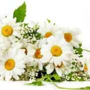 ヒメ日記 2026/02/22 12:56 投稿 内海 昼顔妻 五反田店