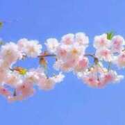 ヒメ日記 2026/04/04 11:36 投稿 内海 昼顔妻 五反田店