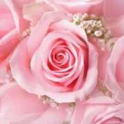 ヒメ日記 2026/04/18 13:36 投稿 内海 昼顔妻 五反田店