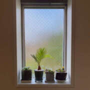 ヒメ日記 2026/01/31 09:29 投稿 大宮校みやび クンニ専門店 おクンニ学園 池袋校