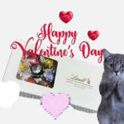 ヒメ日記 2026/02/14 14:32 投稿 大宮校みやび クンニ専門店 おクンニ学園 池袋校