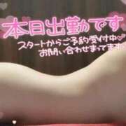 ヒメ日記 2026/02/19 12:15 投稿 つきの 妻天 京橋店