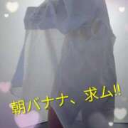 ヒメ日記 2026/06/14 09:15 投稿 つきの 妻天 京橋店