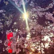 ヒメ日記 2025/03/22 18:16 投稿 杉崎アンナ 西川口風俗ド淫乱ンド