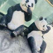 ヒメ日記 2025/03/27 12:50 投稿 杉崎アンナ 西川口風俗ド淫乱ンド