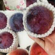 ヒメ日記 2025/07/31 21:59 投稿 杉崎アンナ 西川口風俗ド淫乱ンド