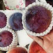 ヒメ日記 2025/07/31 22:19 投稿 杉崎アンナ 西川口風俗ド淫乱ンド