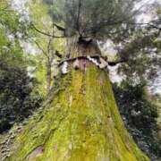 ヒメ日記 2025/10/13 19:56 投稿 杉崎アンナ 西川口風俗ド淫乱ンド