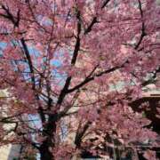 ヒメ日記 2026/03/01 23:50 投稿 杉崎アンナ 西川口風俗ド淫乱ンド