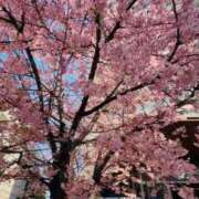 ヒメ日記 2026/03/02 00:09 投稿 杉崎アンナ 西川口風俗ド淫乱ンド