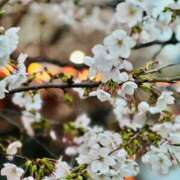 ヒメ日記 2026/03/29 17:26 投稿 杉崎アンナ 西川口風俗ド淫乱ンド