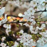 ヒメ日記 2026/03/29 17:47 投稿 杉崎アンナ 西川口風俗ド淫乱ンド