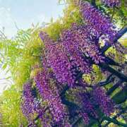 ヒメ日記 2026/04/26 08:04 投稿 杉崎アンナ 西川口風俗ド淫乱ンド