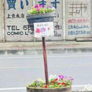 ヒメ日記 2026/06/07 09:47 投稿 杉崎アンナ 西川口風俗ド淫乱ンド