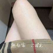 ヒメ日記 2026/04/07 11:39 投稿 こずえ 熟女家 ミナミエリア店