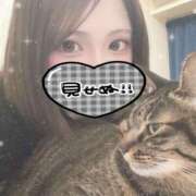 ちろる 出勤ദ്ദിᐢ- ̫-ᐢ₎ Linda＆Linda(リンダリンダ)