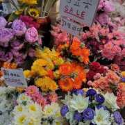 ヒメ日記 2026/02/08 11:21 投稿 LUNA【ルナ】 Evolution1st ミナミ谷九店