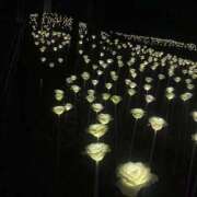 ヒメ日記 2026/02/18 16:34 投稿 LUNA【ルナ】 Evolution1st ミナミ谷九店