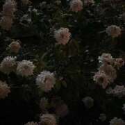 ヒメ日記 2026/03/01 17:55 投稿 LUNA【ルナ】 Evolution1st ミナミ谷九店