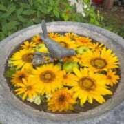ヒメ日記 2026/08/20 12:36 投稿 香咲　舞 タッチVIP