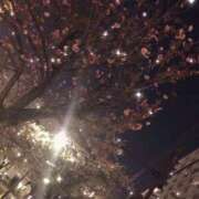 ヒメ日記 2026/04/09 20:05 投稿 さくや 熟女の風俗最終章 錦糸町店