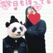 ヒメ日記 2026/01/31 18:07 投稿 ひすい ナチュラルプリンセス