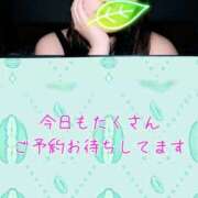 ヒメ日記 2026/03/04 08:22 投稿 ひすい ナチュラルプリンセス