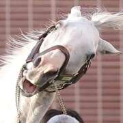 ヒメ日記 2026/02/06 00:16 投稿 えみか 吉原ファーストレディ