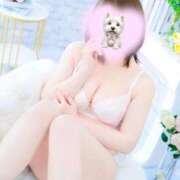 ヒメ日記 2026/03/27 19:30 投稿 かんな 白いぽっちゃりさん五反田店