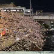 ヒメ日記 2026/04/07 00:19 投稿 かんな 白いぽっちゃりさん五反田店