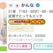 ヒメ日記 2026/05/11 15:09 投稿 かんな 白いぽっちゃりさん五反田店