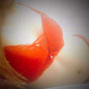 ヒメ日記 2026/02/28 23:57 投稿 みずき 逢って30秒で即尺