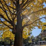 ヒメ日記 2026/01/29 12:54 投稿 月島 いちか こあくまな熟女たち 静岡店（KOAKUMAグループ）
