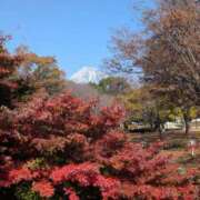 ヒメ日記 2026/01/29 13:07 投稿 月島 いちか こあくまな熟女たち 静岡店（KOAKUMAグループ）