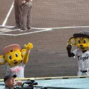 ヒメ日記 2026/03/28 17:02 投稿 桜井　にこ YUDEN〜油殿〜谷九・日本橋店