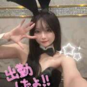 ヒメ日記 2026/02/06 14:33 投稿 さつき TOKYO BUNNYS CLUB