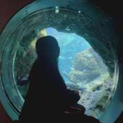 ヒメ日記 2026/02/23 16:32 投稿 まや 萌えカワ