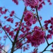 おと 🌸 東京メンズボディクリニック TMBC 渋谷店